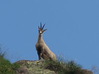 Salita al Valletto e al Ponteranica il 27 luglio 07- FOTOGALLERY 